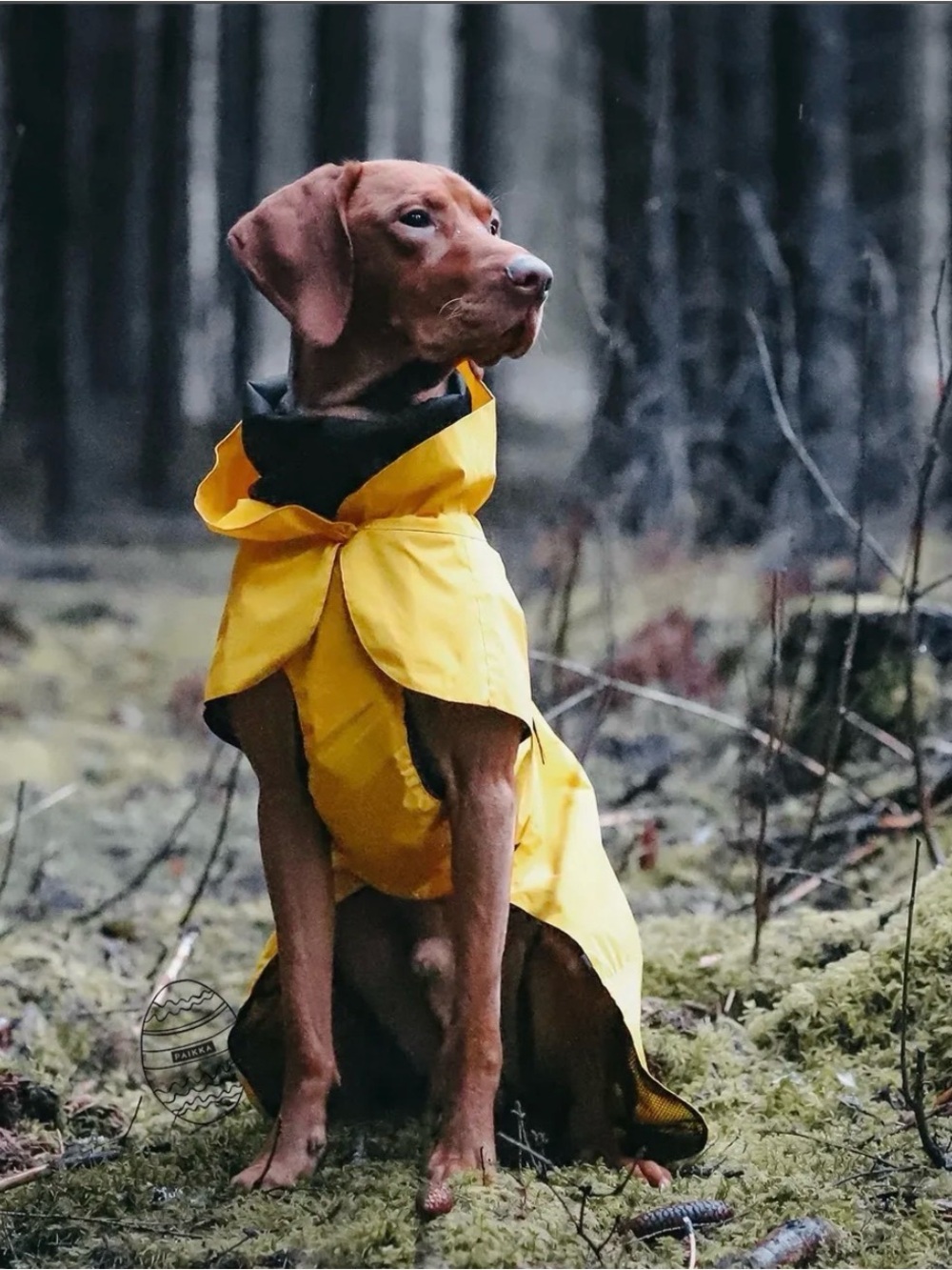 PAIKKA Visibility Dog Raincoat Lite - Yellow